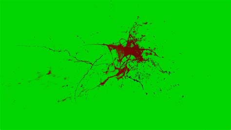 Giclée de sang 4 fond vert After effect green screen blood burst