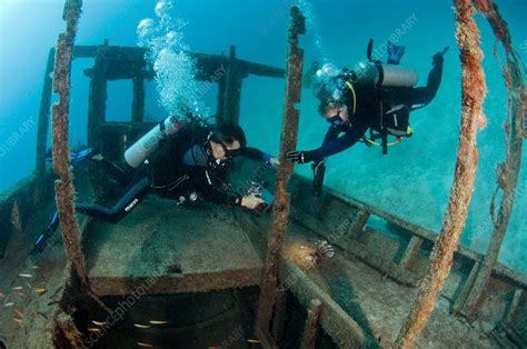 Shipwreck And Scuba Divers Stock Image C Science Photo