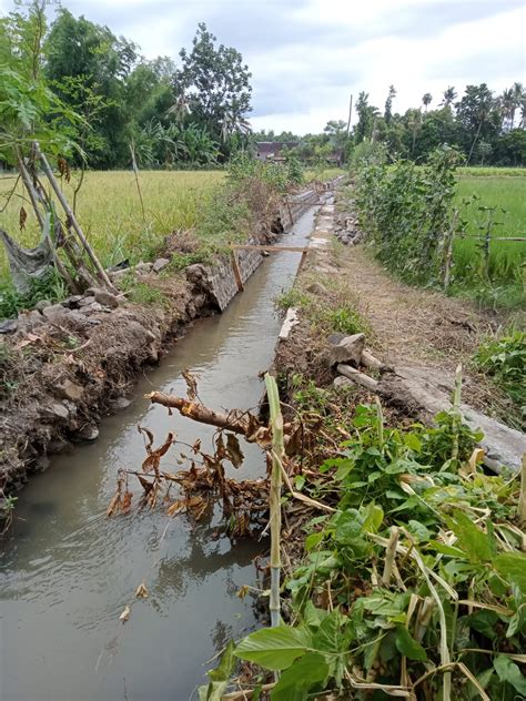 Diduga Perkerjaan Proyek Rehabilitasi Drainase Yang Dikerjakan CV