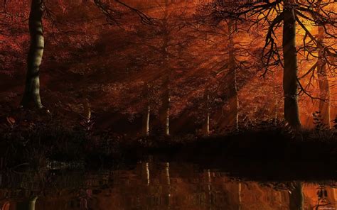 Dark Autumn Forest Wallpapers - Wallpaper Cave