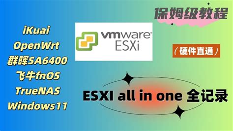 Esxi All In One Ikuai Openwrt Nas Fnos Truenas