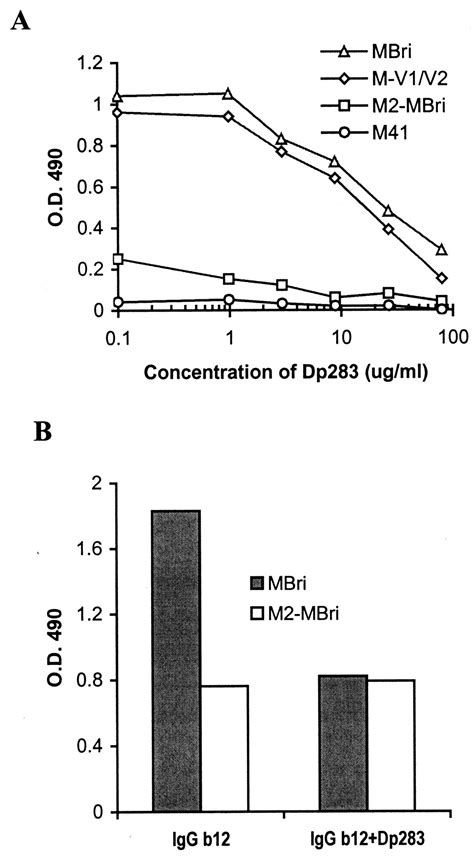 The Role Of The Third β Strand In Gp120 Conformation And Neutralization