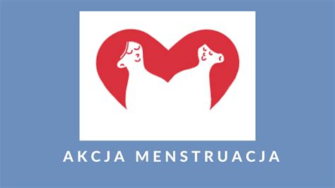 Akcja Menstruacja Publiczne Liceum Ogólnokształcące im Romka