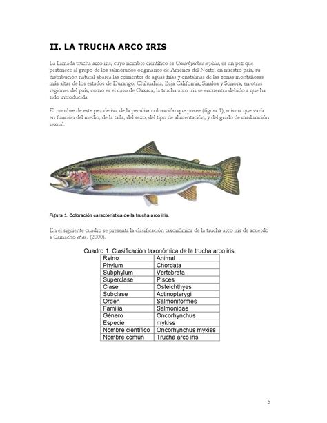 MANUAL BASICO PARA EL CULTIVO DE TRUCHA ARCO IRIS 1 By Juan Jose Camues