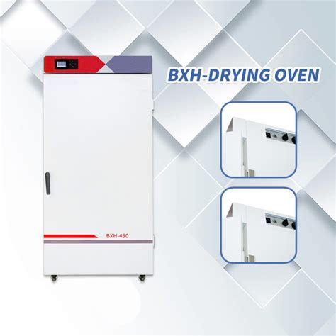 Bxh Drying Oven Stainless Steel Inner Chamber Vertical Forced Air