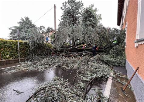 Allerta Meteo Per Le Prossime Ore Previsti Temporali Forti Grandine