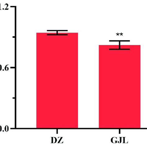 The Cell Viability Of HacaT Cells After Tritium Toxicity For 48 H Data