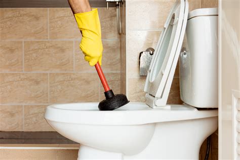 The Most Common Plumbing Emergencies Elk Grove Village Sewer And Plumbing