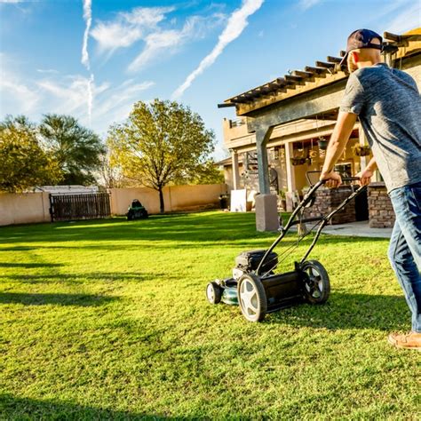 Have Bahia Grass? Everything You Need to Know About It