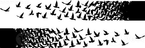 Flying birds silhouettes pattern wallpaper. PNG transparent. isolated ...