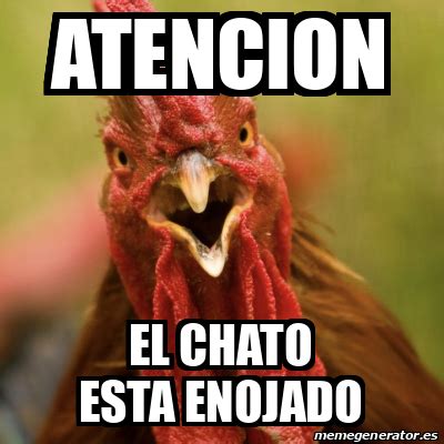 Meme Personalizado Atencion El Chato Esta Enojado 33173542