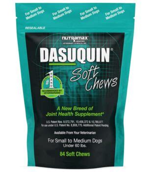 9 Best Glucosamine Supplements for Dogs [2024]