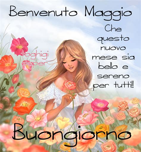 Maggio Toghigipaper