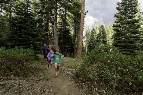 Spring Tahoe Truckee Community Foundation Impact Report