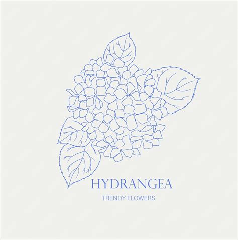 Premium Vector Hydrangea Logo Trendy Botanical Elements Hand Drawn