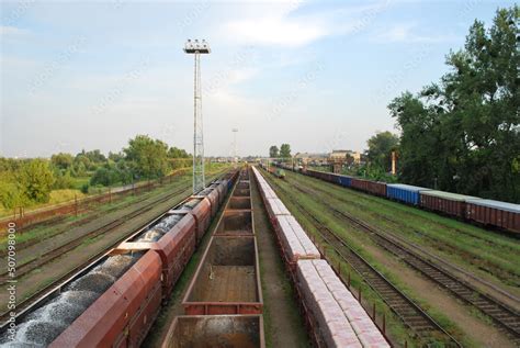 railway carriages of various types on a siding, tracks, tracks, brush ...