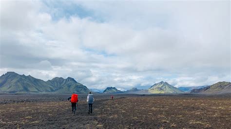 Reizen In Alaska Wild Van Het Hoge Noorden