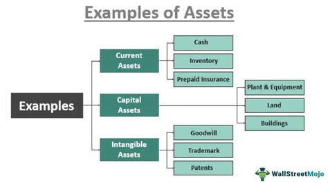 Examples Of Assets Definition Top 12 Examples