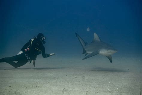 Diving In Cabo Pulmo