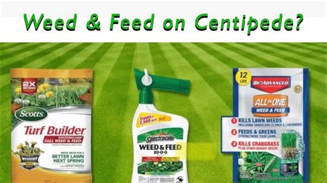 Centipede Grass Weed Control