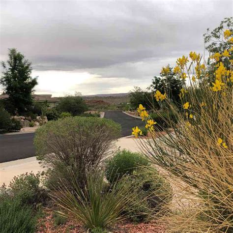 Coral Canyon Long Walk Trail Washington Utah Usa Pacer