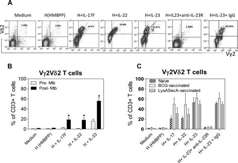 Th17related Cytokines Contribute To Recalllike Expansion Effector