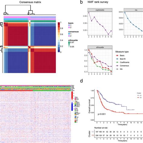 Non Negative Matrix Factorization Nmf Analysis A Nmf Clustering