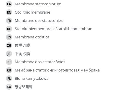 Otolithic membrane - vet-Anatomy - IMAIOS