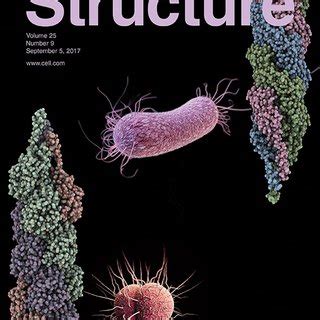 Cryoelectron Microscopy Reconstructions Of The Pseudomonas Aeruginosa