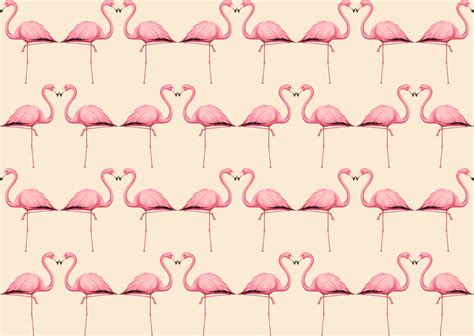 🔥 [40+] Vintage Pink Flamingo Wallpapers | WallpaperSafari