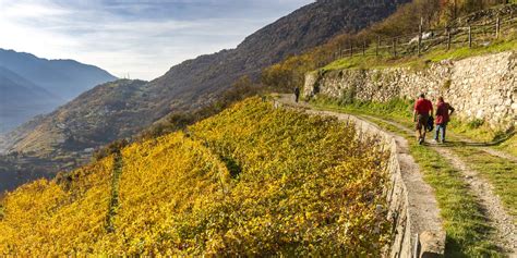 Ottobre In Valtellina Tra Vigneti E Cantine