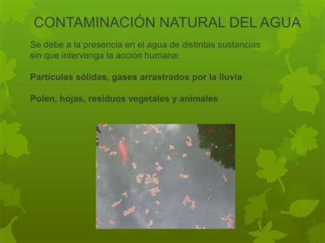 CONTAMINACION RECURSOS HIDRICOS Ppt