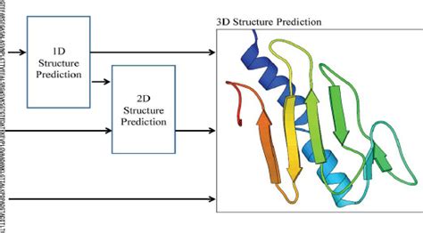 Three Dimensional Protein Structure Prediction Download Scientific