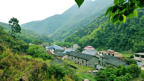 寻一处世外桃源，发现庐山云雾茶背后的故事！世外桃源汉阳峰庐山新浪新闻