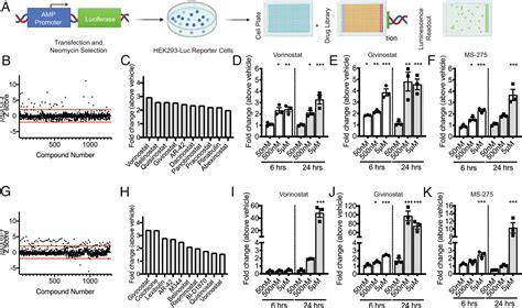 Repurposing Hdac Inhibitors To Enhance Ribonuclease And Expression