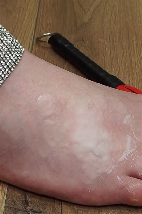 Serve In Silence The Ignore You Deserve Amateur Porn Feat Anastasia Gree By Faphouse Xhamster