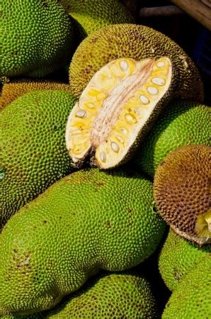 Jackfruit - Caribbean Super Food Could Replace Staple Crops Threatened ...