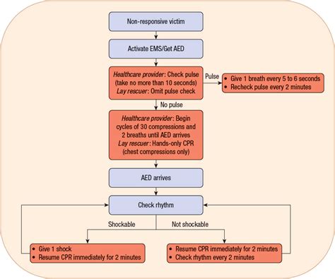 Cardiac Arrest Basicmedical Key