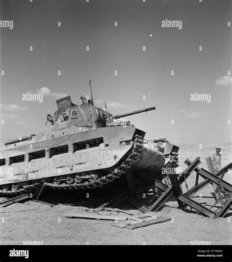 The British Army In North Africa A Matilda Tank Negotiating