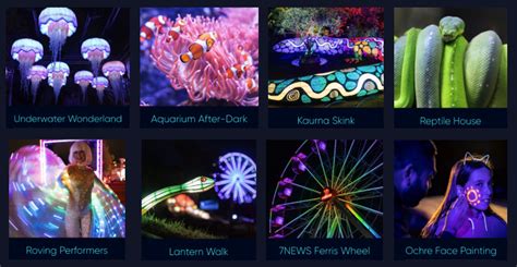 GLOW Light Festival at Sydney Zoo - Busy City Kids