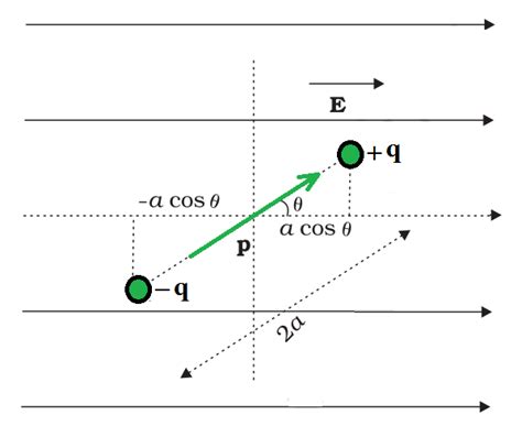 Potential Energy In An External Field