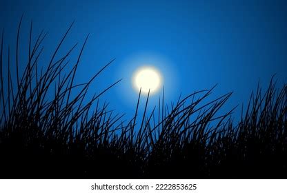 Grass On Night Sky Nature Background Stock Vector (Royalty Free) 2222853625 | Shutterstock