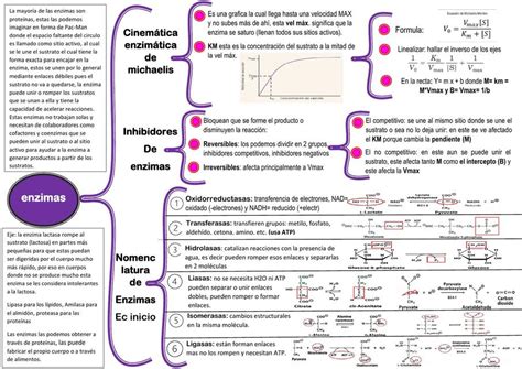 Cuadro Sinoptico Enzimas Udocz Hot Sex Picture