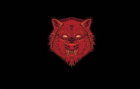 Red Wolf Wallpapers - Top Free Red Wolf Backgrounds - WallpaperAccess