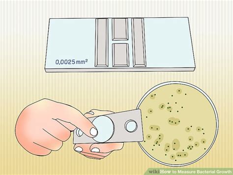 3 Ways To Measure Bacterial Growth Wikihow