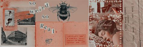 WARNINGS Smut Unprotected Sex Rough Sex Crying Steve Hairingtons On Tumblr