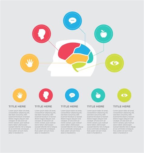 mind infographic vectors illustrations