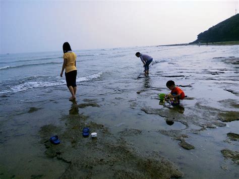 2024五彩滩是涠洲岛最适合赶海的地方。在那玩起来就根本叫不走五彩滩 评论 去哪儿攻略