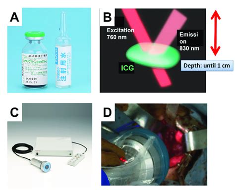 Pde System Customized For The Detection Of Icg Fluorescence Hamamatsu