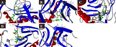 Frontiers Molecular Docking Reveals Ivermectin And Remdesivir As